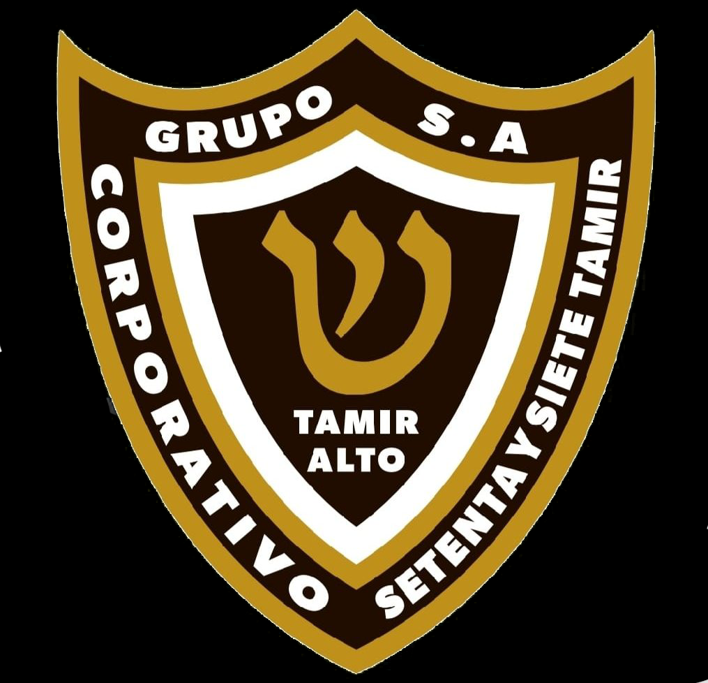 Seguridad Tamir